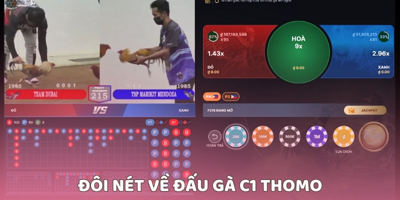 Đôi nét về đấu gà C1 Thomo